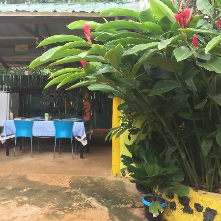 阿米莉亚住宿加早餐旅馆 公主港 外观 照片